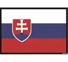 Bandiera slovacchia