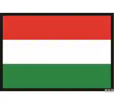 Bandiera ungheria